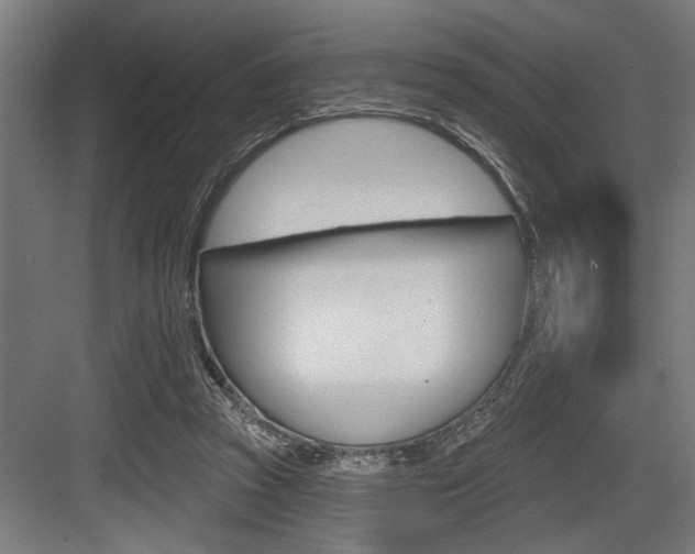 X0000083610353200702120729