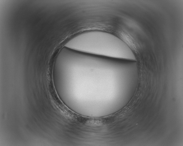 X0000083610354200702120729