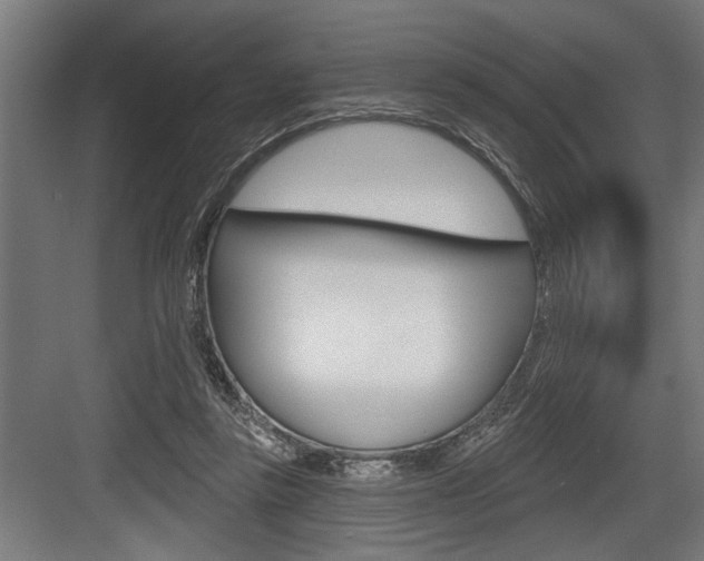 X0000083610355200702120729