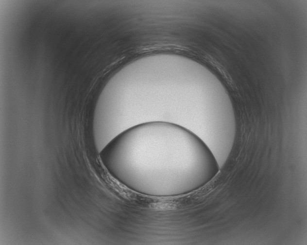 X0000083610356200702120729