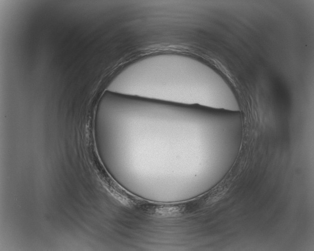 X0000083610357200702120729