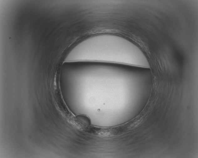 X0000083610358200702120729