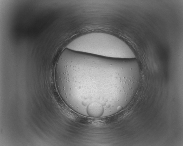 X0000083610359200702120729