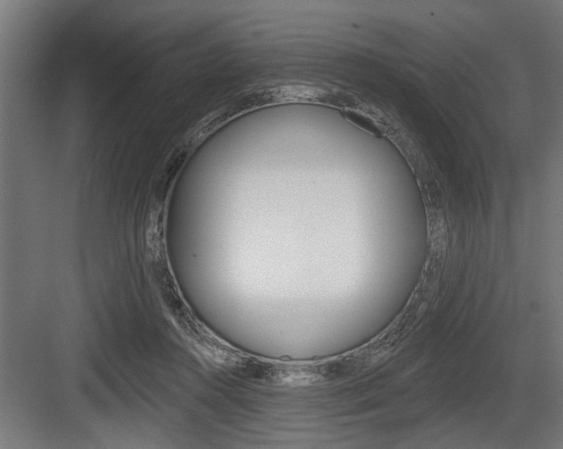 X0000083610360200702120729