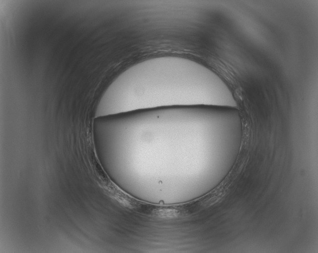 X0000083610361200702120729