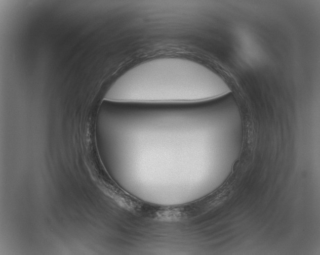 X0000083610362200702120729