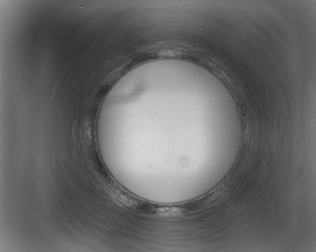 X0000083610363200702120730