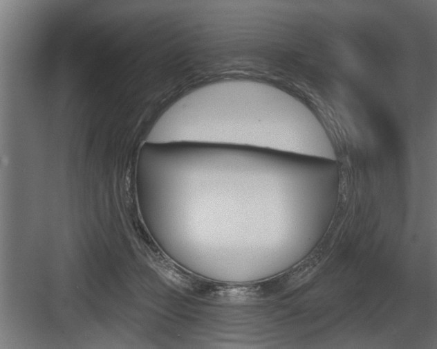 X0000083610365200702120730