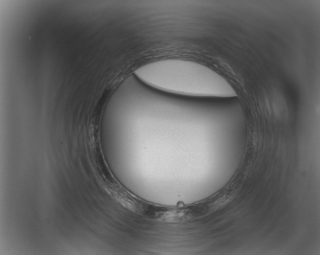 X0000083610366200702120730