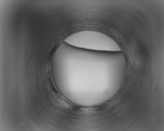 X0000083610367200702120730