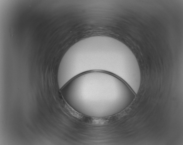 X0000083610376200702120730