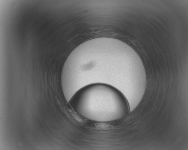 X0000083610380200702120730