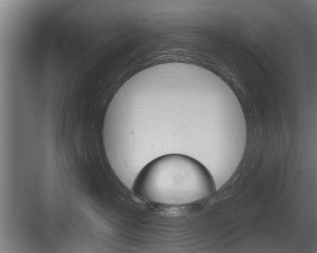 X0000083610382200702120730