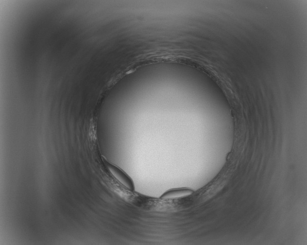 X0000083610384200702120730