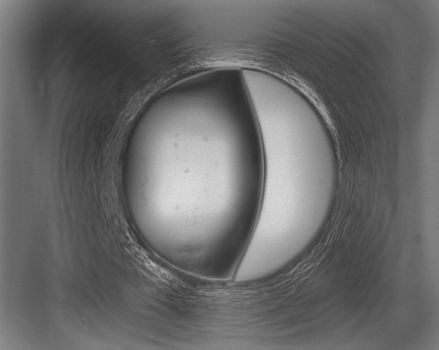 X0000083610385200702120729