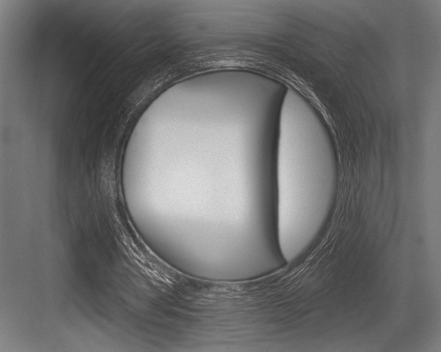 X0000083610386200702120729