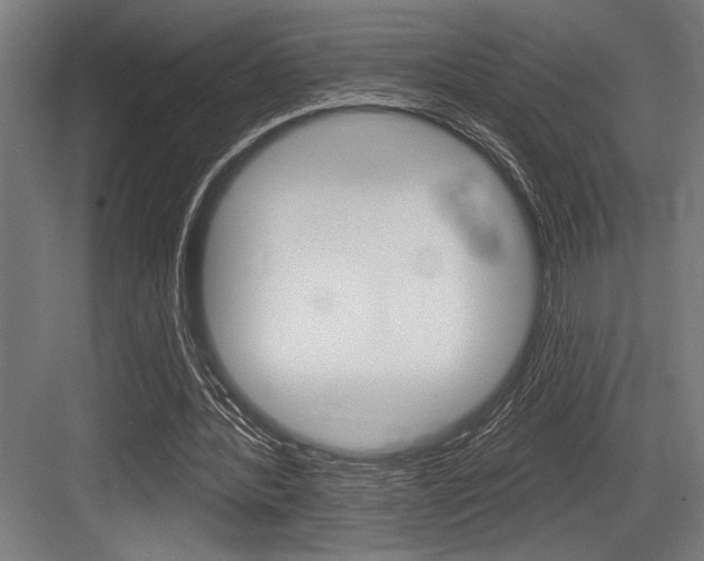 X0000083610388200702120729