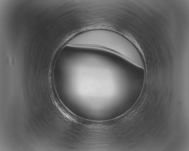 X0000083610389200702120729