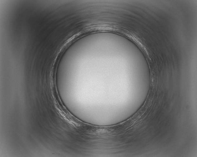 X0000083610390200702120729