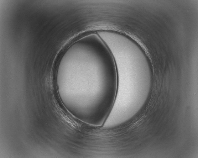 X0000083610391200702120729