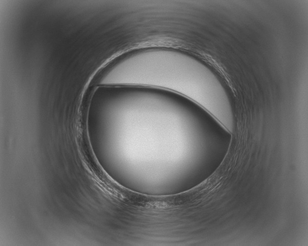 X0000083610392200702120729