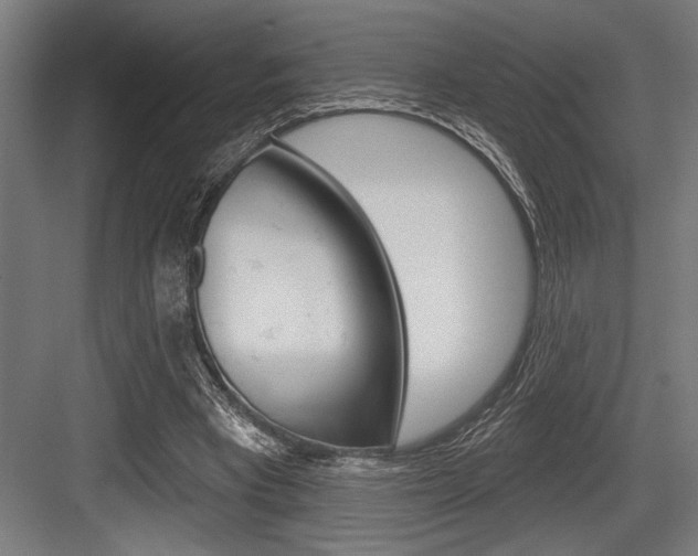 X0000083610393200702120729