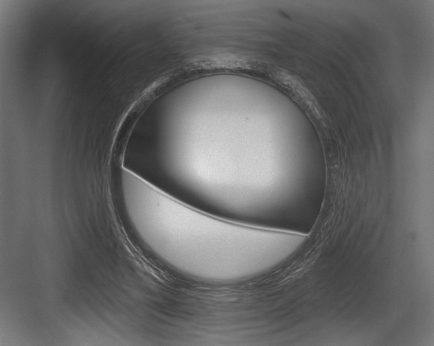 X0000083610395200702120729