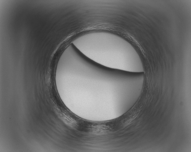 X0000083610396200702120729