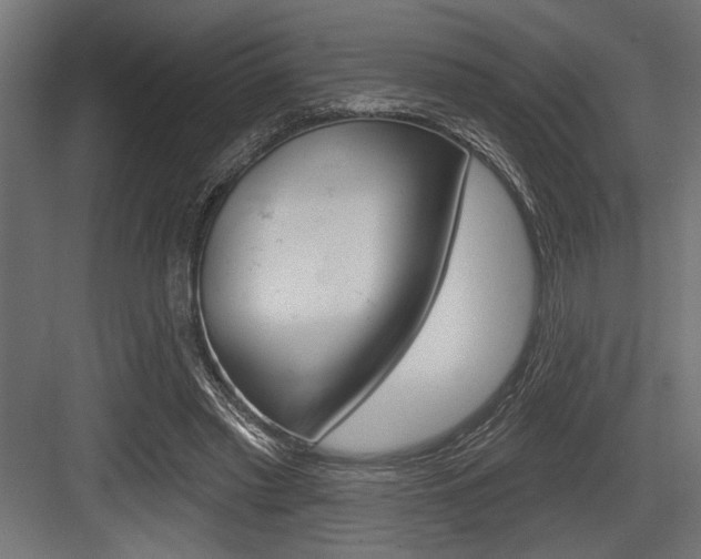 X0000083610397200702120729