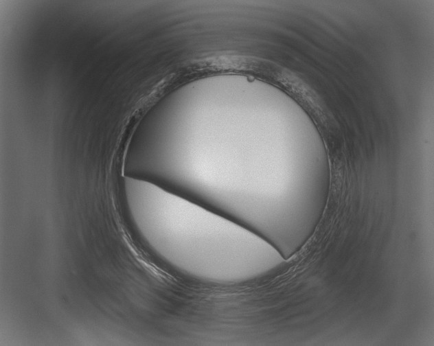 X0000083610398200702120729