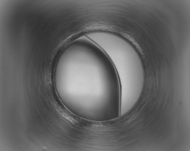 X0000083610399200702120729