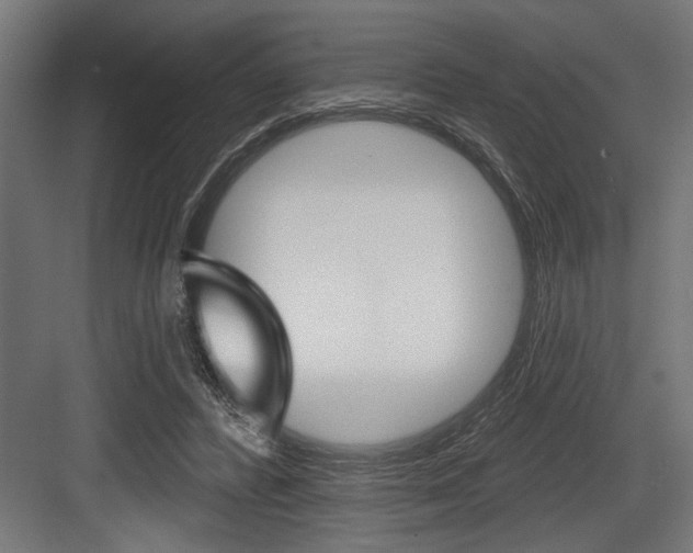 X0000083610400200702120729