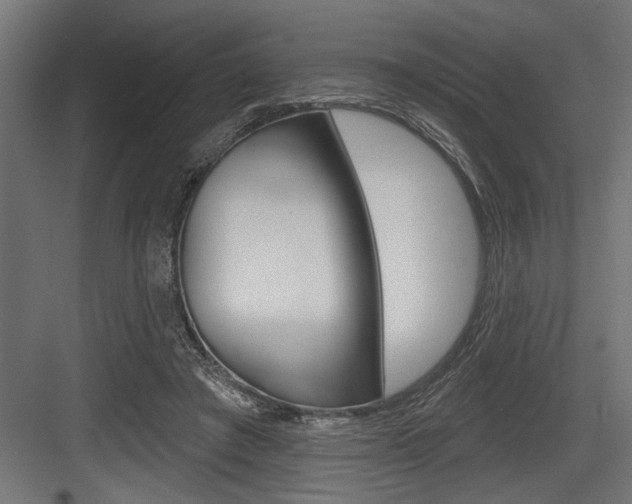 X0000083610401200702120729