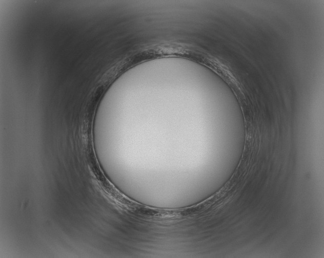 X0000083610402200702120729