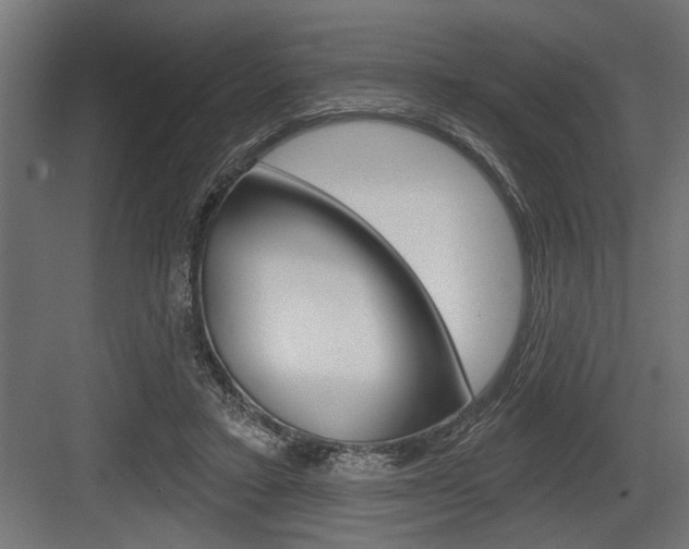 X0000083610403200702120729