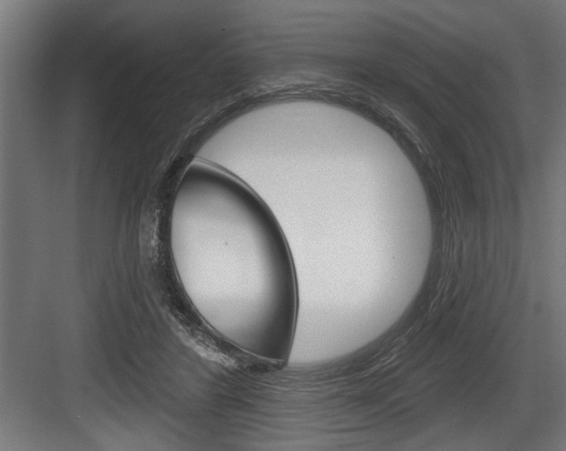 X0000083610404200702120729