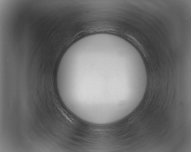 X0000083610405200702120729