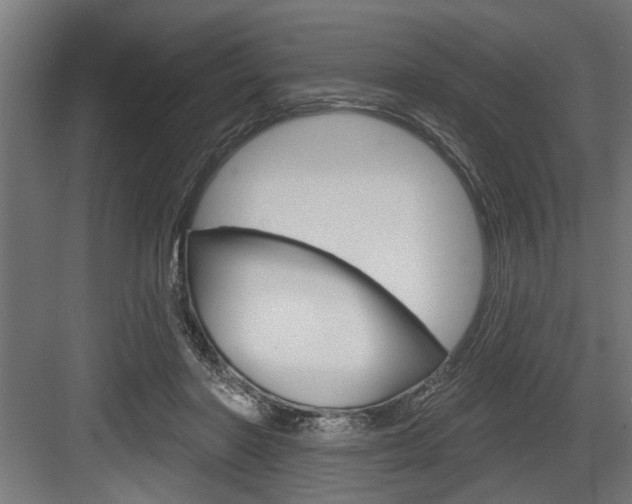 X0000083610406200702120729