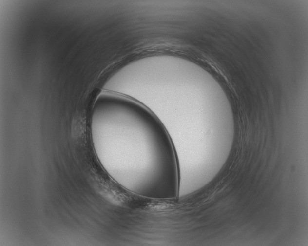 X0000083610407200702120729