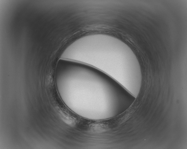 X0000083610408200702120729