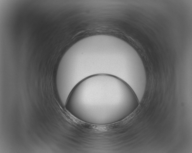 X0000083610409200702120729