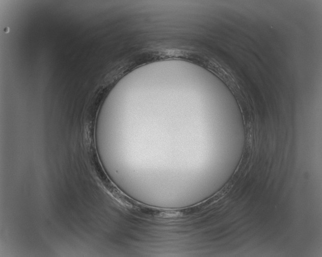 X0000083610410200702120729