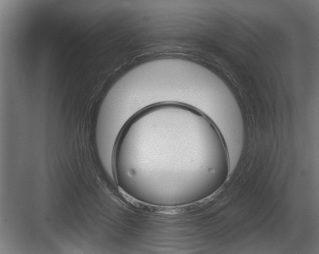 X0000083610411200702120729