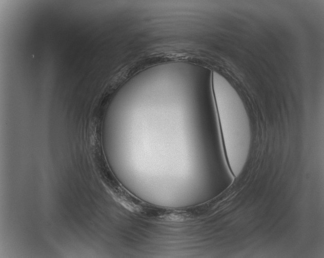 X0000083610412200702120729