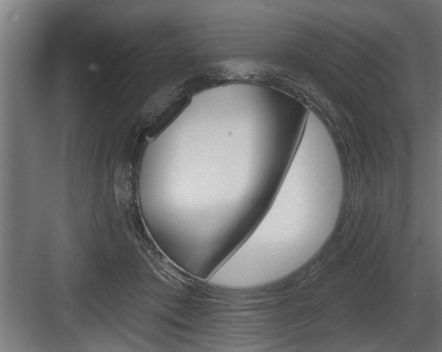 X0000083610413200702120729