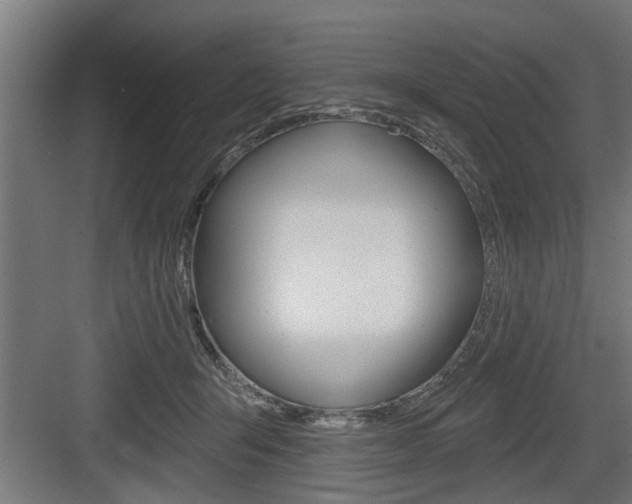 X0000083610415200702120729