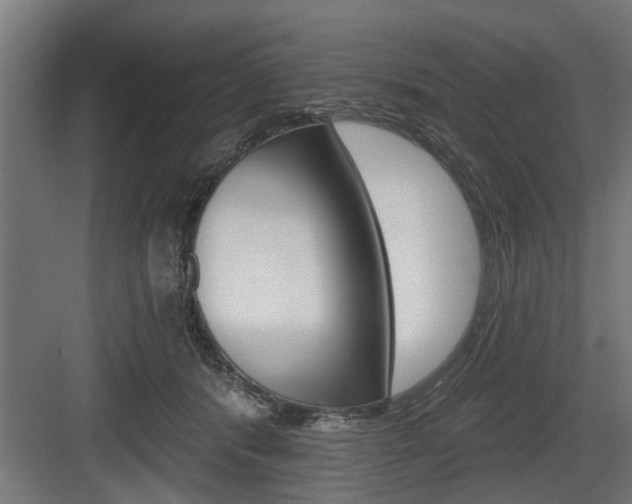 X0000083610416200702120729