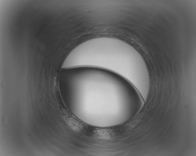 X0000083610417200702120729