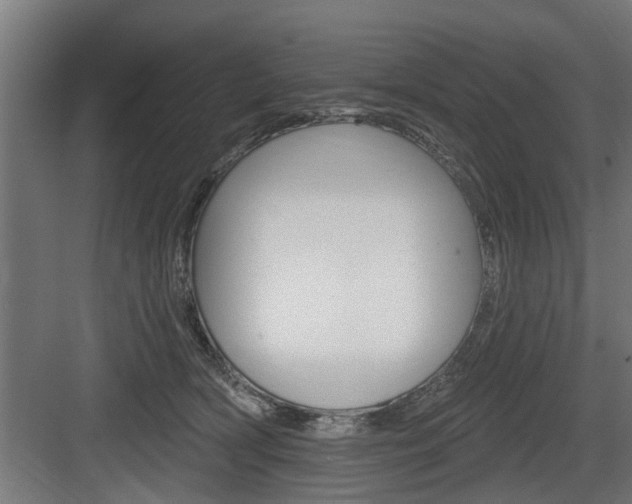 X0000083610418200702120728