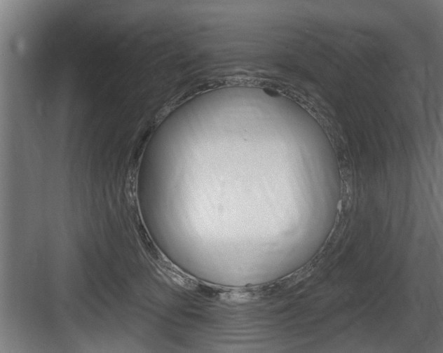 X0000083610419200702120728